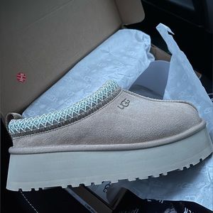 NEW UGG Tazz Slipper